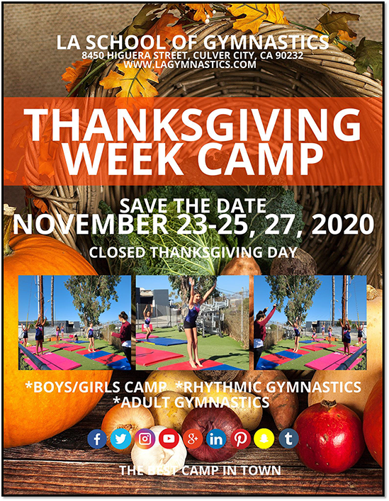 gymnastics-thanksgiving-week-camp-flyer